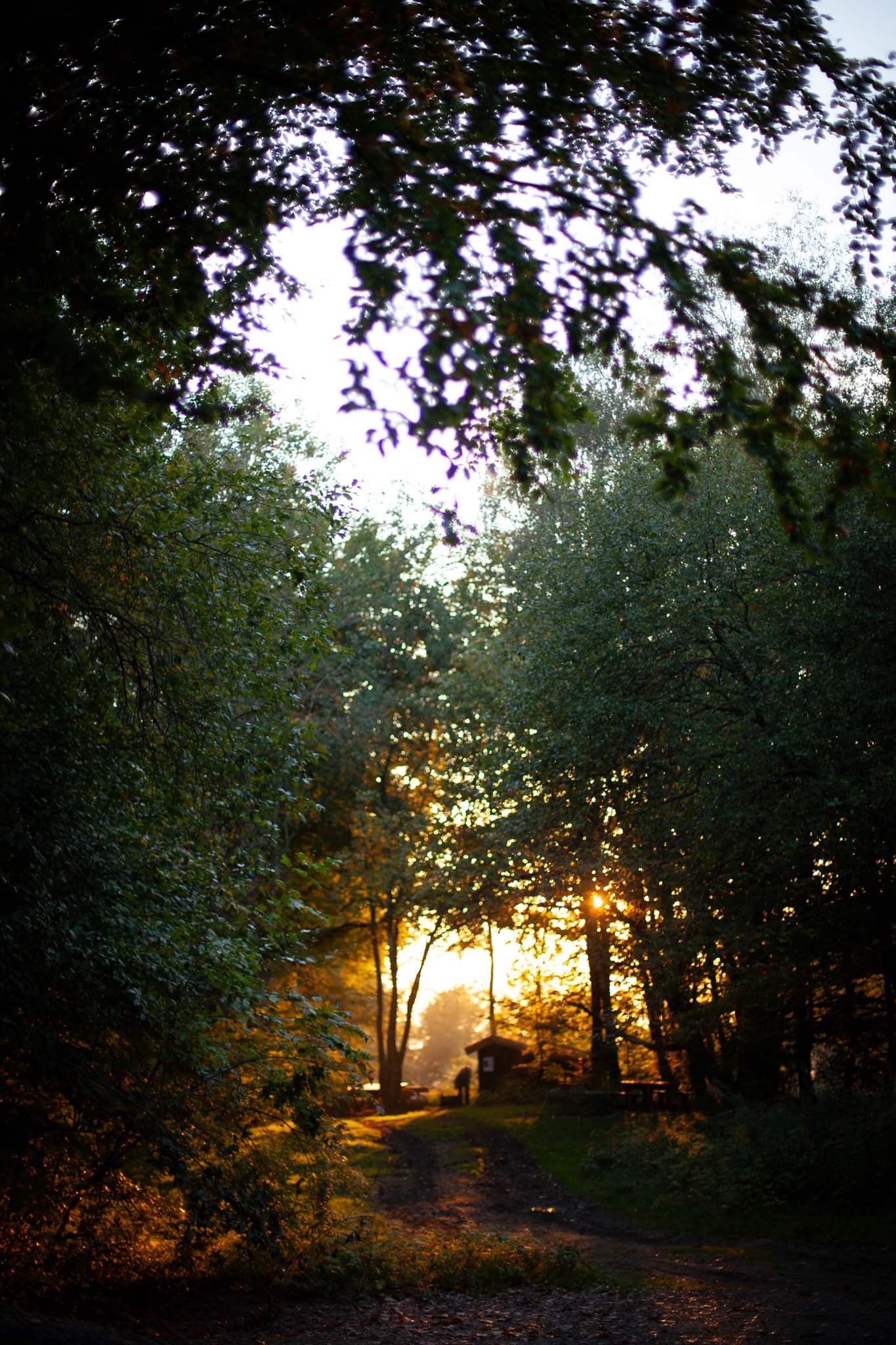 Fotografisk Poster: Hålehall Vindskydd